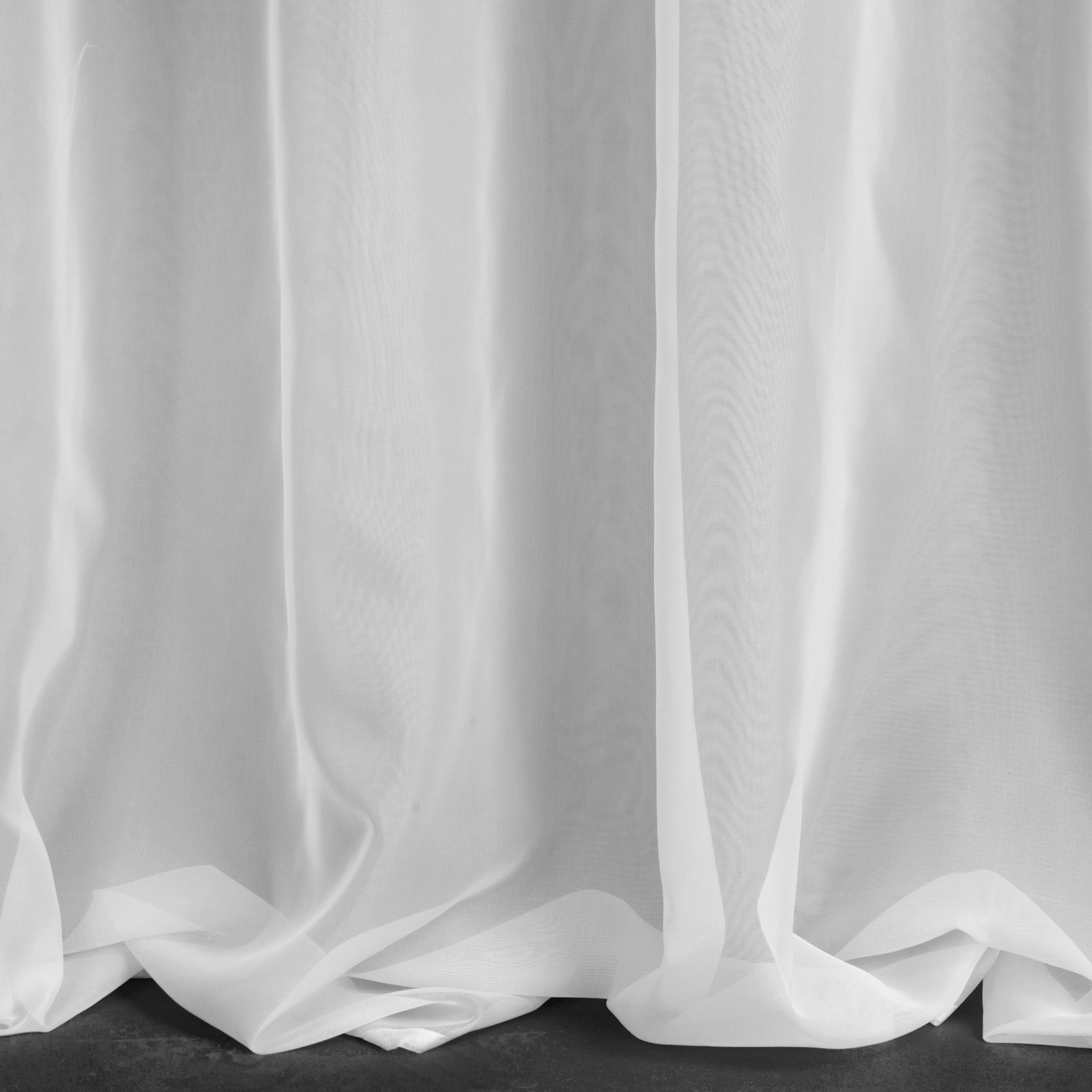 Gardine Vorhang ALINA Faltenband (1 St), transparent - Image 5